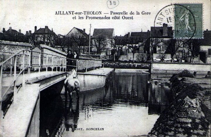 Cartes Postales De La Passerelle Sur Le Tholon Montholon